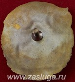   
Нажмите для увеличения